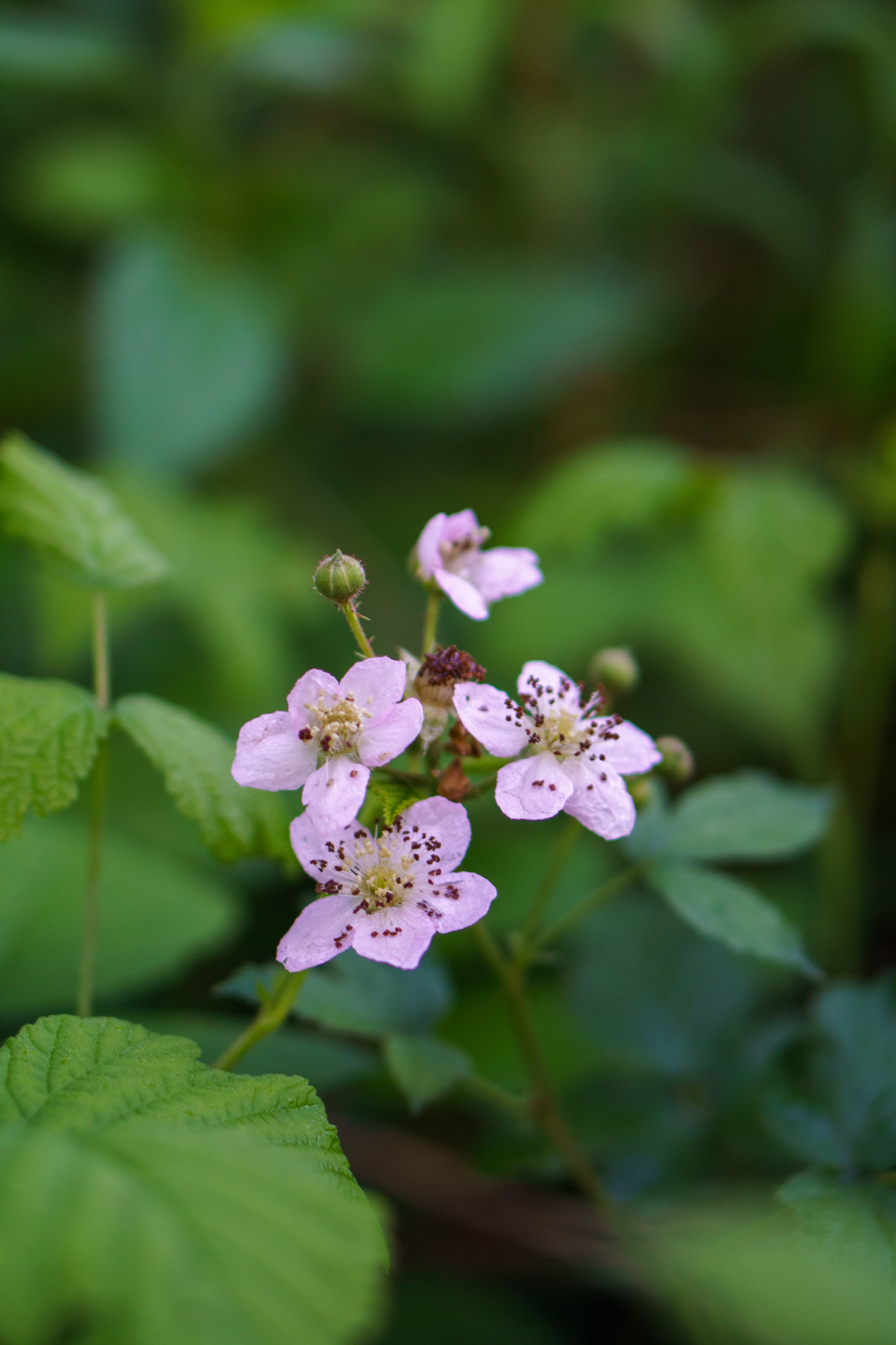e76bv_DSC09532