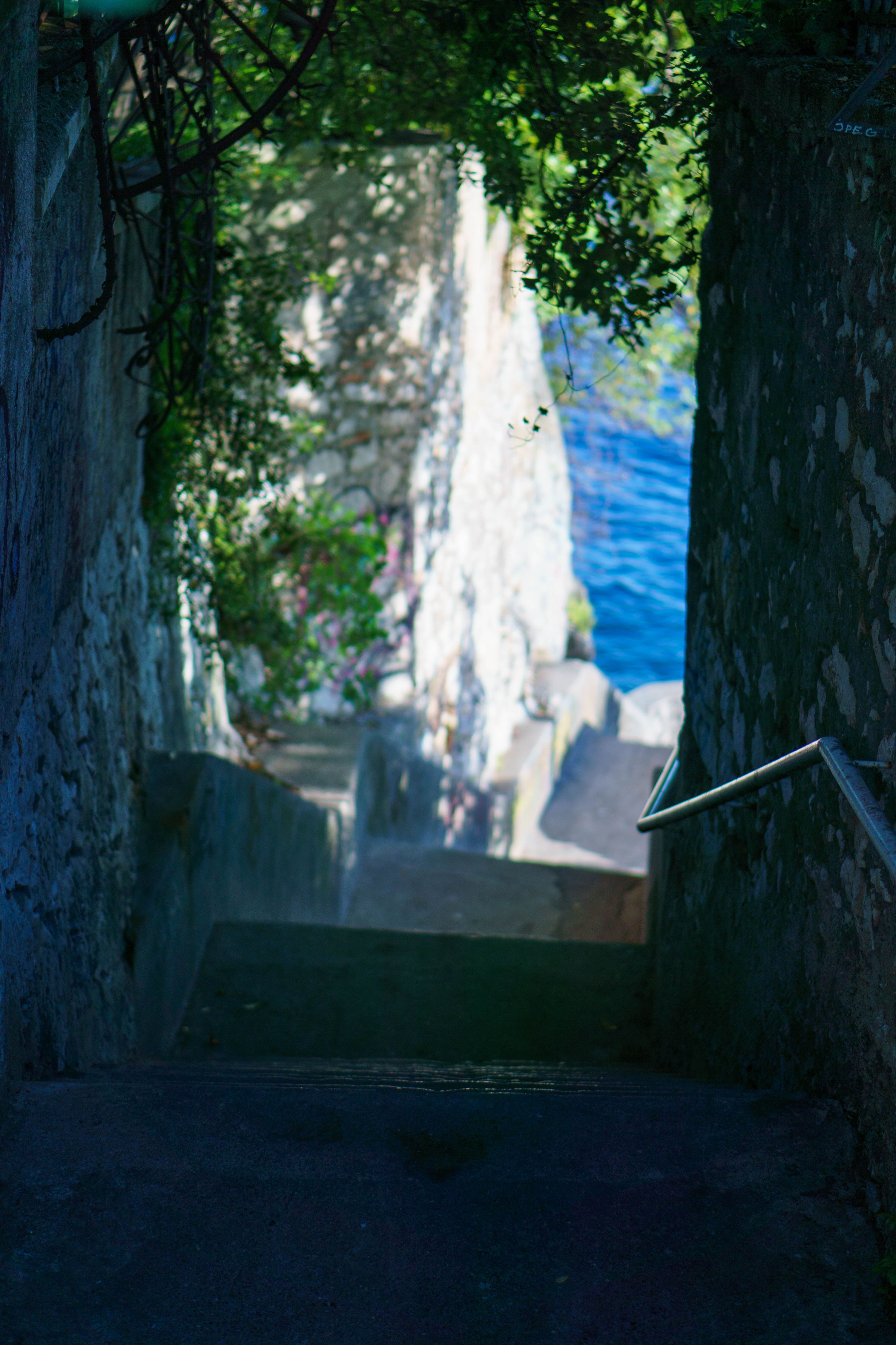 ddzam_DSC00056