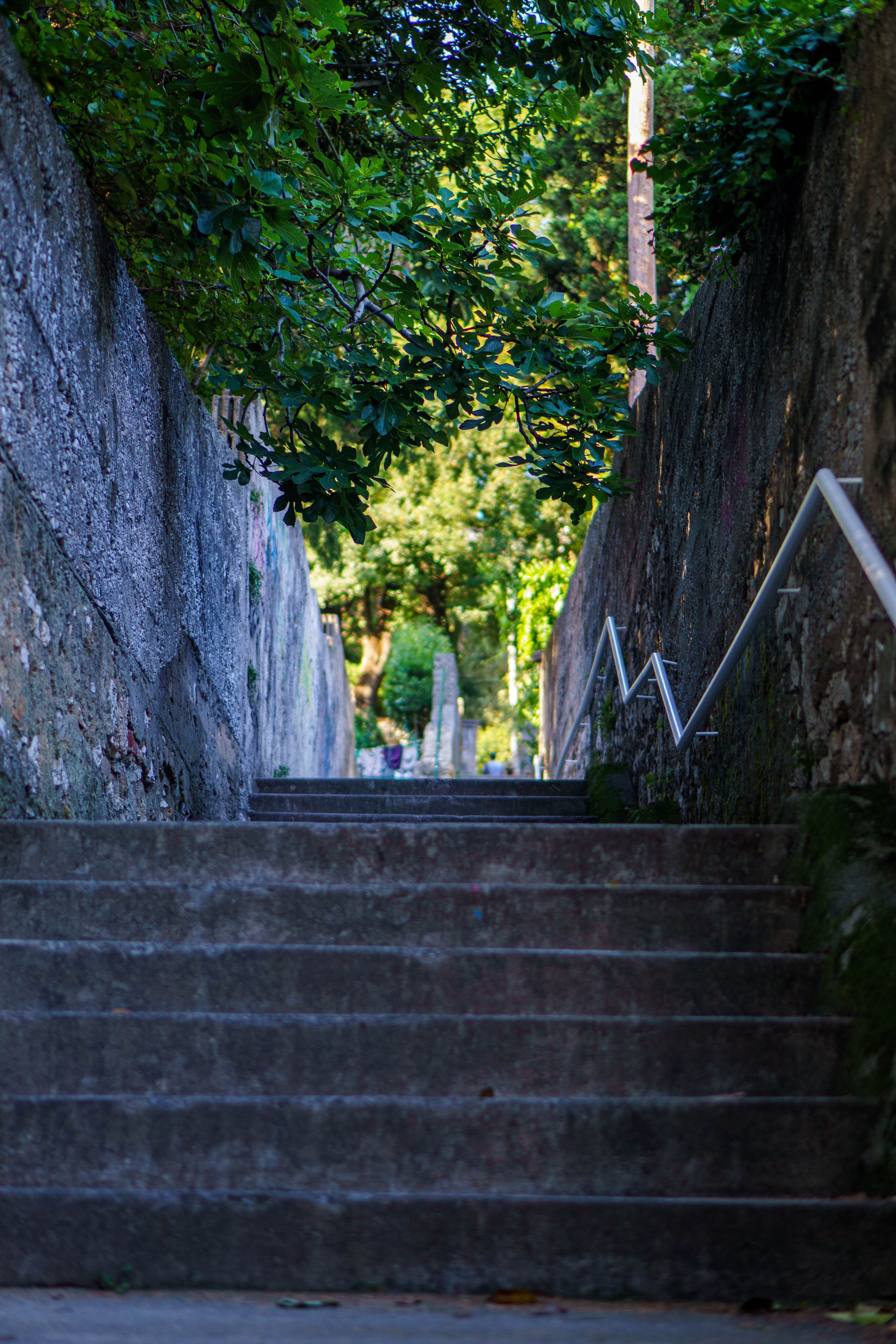 lcam8_DSC00041